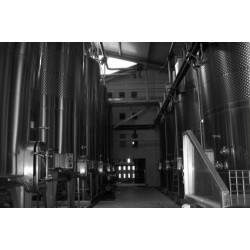 SIGNARGUES rouge 2014 Cave ESTEZARGUES Domaine Grès Saint Vincent 75cl