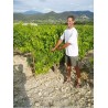 RASTEAU rouge 2016 Coteaux des TRAVERS Cuvée Les TRAVES 75cl