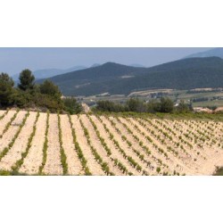 RASTEAU rouge 2016 Coteaux des TRAVERS Cuvée Les TRAVES 75cl