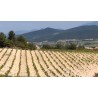 RASTEAU rouge 2016 Coteaux des TRAVERS Cuvée Les TRAVES 75cl