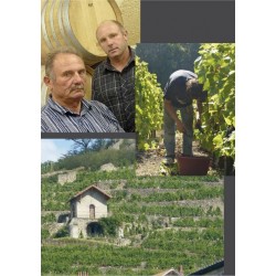 CONDRIEU blanc 2014 Domaine MOUTON Côte Bonnette 75cl