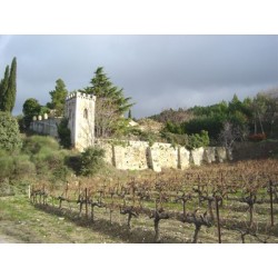 CÔTES DU RHÔNE Villages rouge 2012 Domaine de la JEROME  75cl