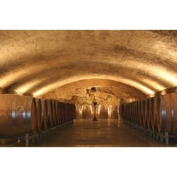 CHATEAUNEUF DU PAPE rouge 2012 Château de VAUDIEU 150cl