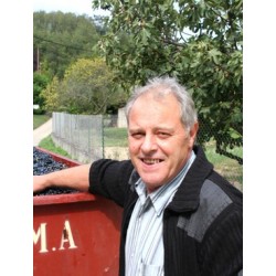 SAINT JOSEPH rouge 2013 ALAIN PARET Les Larmes du Père 150cl