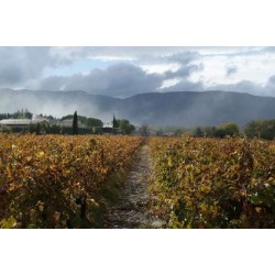 LUBERON rouge 2013 Domaine la ROYERE Vieilles Vignes 75cl