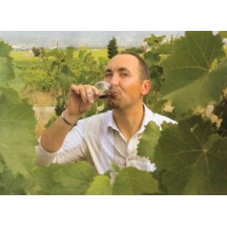 RASTEAU rouge 2010 Domaine MARTIN  Les Sommets de Rasteau 75cl
