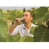 RASTEAU rouge 2010 Domaine MARTIN  Les Sommets de Rasteau 75cl