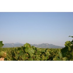 RASTEAU rouge 2010 Domaine MARTIN  Les Sommets de Rasteau 75cl