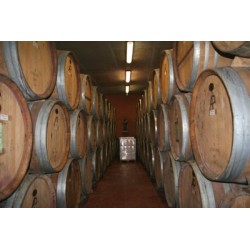 SAINT JOSEPH Blanc 2016 ALAIN PARET Les Larmes du Père 75cl