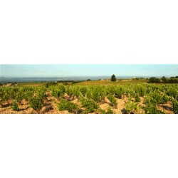 LIRAC rouge 2011 Domaine Roger SABON Lirac by Roger Sabon 75cl