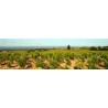 LIRAC rouge 2011 Domaine Roger SABON Lirac by Roger Sabon 75cl
